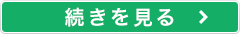 続きを見る
