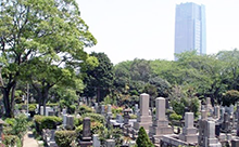 都立青山霊園