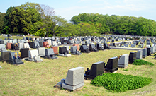都立 八王子霊園