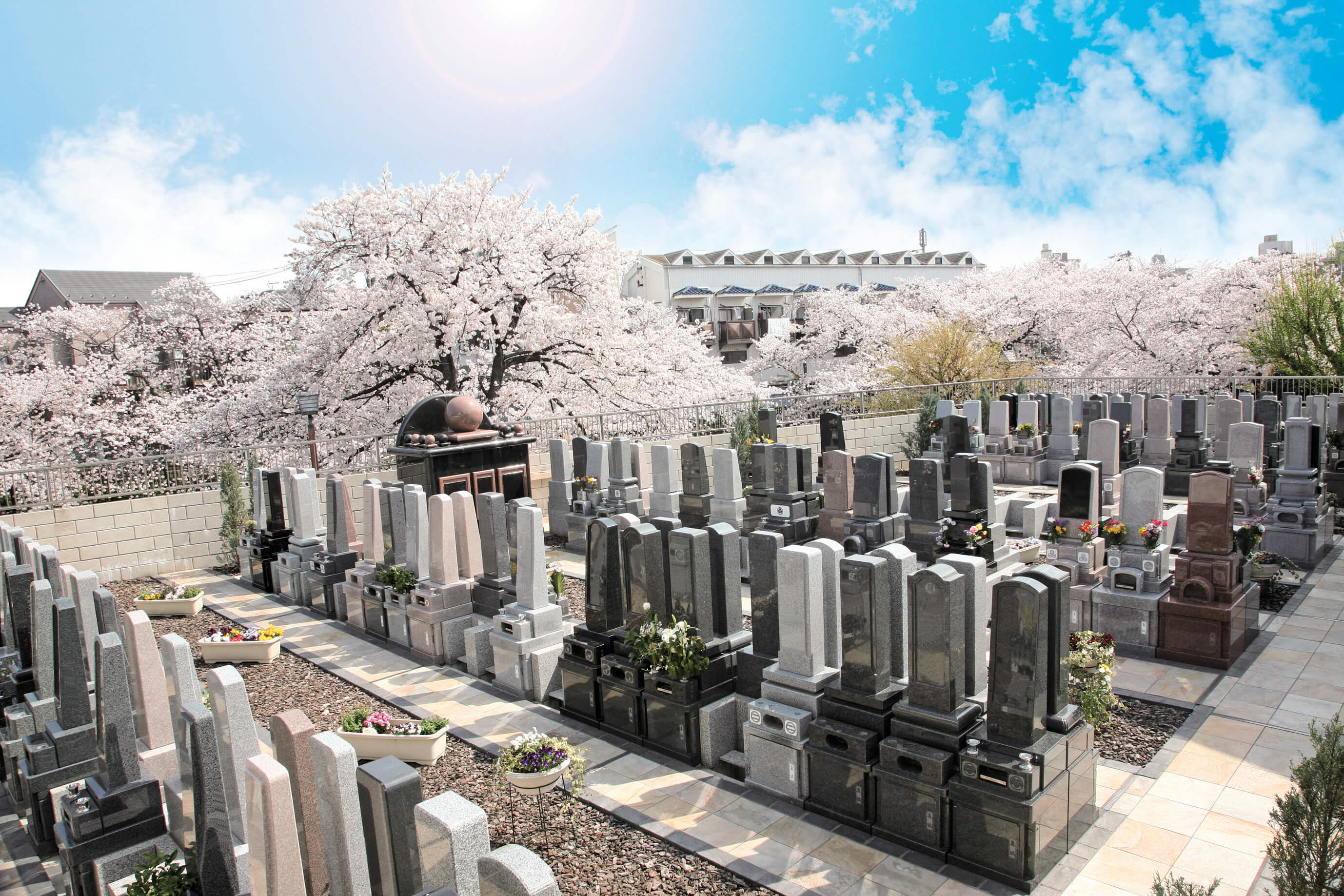 サニープレイス福寿園 樹木葬